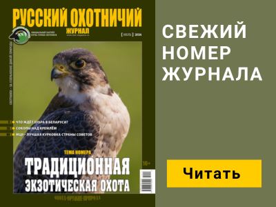 Энергия «тридцатых»: патроны .30 калибров