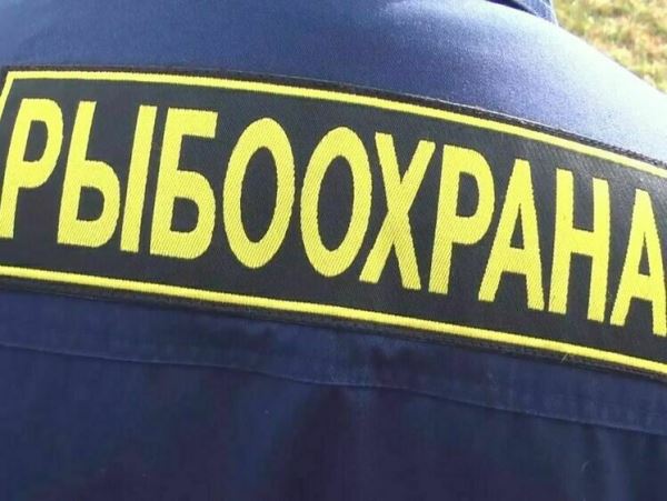 В Калининграде подвели итоги охраны рыбы за полгодаС начало года инспекторами рыбоохраны Западно-Балтийского территориального управления Росрыболовства выявлено 1259 нарушений природоохранного законодательства в области рыболовства и сохранения водных биоресурсов, сумма всех наложенных штрафов составила  более 3 млн руб.