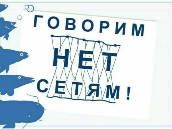 В первом полугодии рыбоохрана Приморья изъяла 10 км сетейИнспекторским составом Приморского территориального управления Росрыболовства в ходе проведения рыбоохранных мероприятий привлечено к административной ответственности 1,5 тысячи нарушителей законодательства в области рыболовства и сохранения водных биоресурсов, наложено административных штрафов на сумму 1,9 млн рублей.