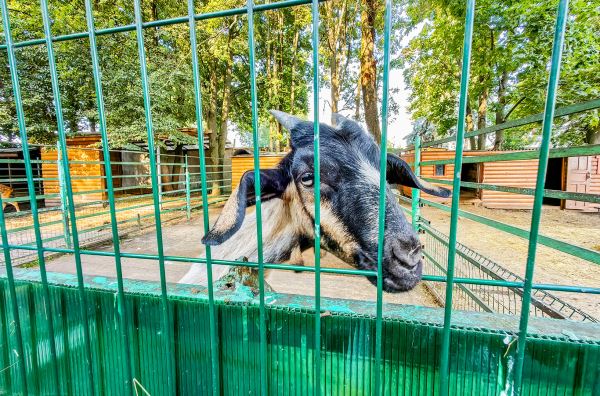 Маршрут выходного дня: Гжель