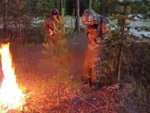 На Ямале двое мужчин незаконно убили медведяТушу животного, добытого браконьерским путем, успели разделать.