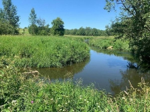 В Подмосковье пруд и водоохранную зону возвращают государствуПо требованию Наро-Фоминского городского прокурора суд рассмотрит вопрос об участке, расположенном в водоохранных зонах и частично в акваториях водных объектов в дер. Софьино. В пресс-службе минэкологии МО пояснили, что речь идет об участке площадью свыше 26 тыс. кв. м, предназначенного для сельхозпроизводства.